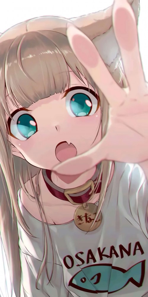 1585292291451.jpg