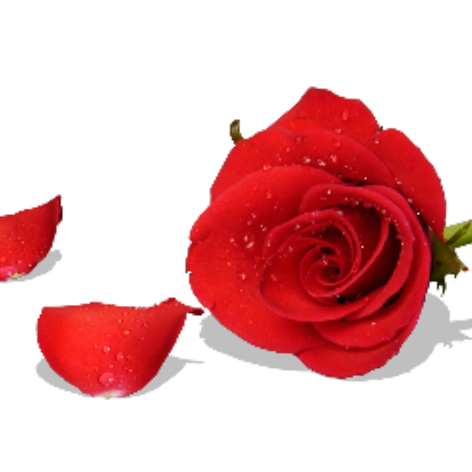 403f6f23a322391d.png