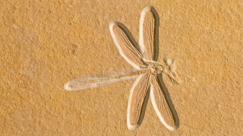 20201014.jpg