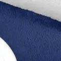SC1025.jpg