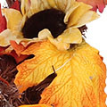 SP2939a7ca33e727e06d60.jpg