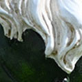 SW0144.jpg