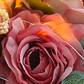 SW0236.jpg