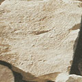 CT0372.jpg
