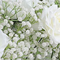 SC104765203fde07e782a4.jpg