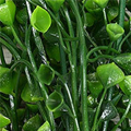 SP0334.jpg
