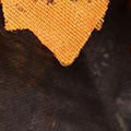 SP0853.jpg