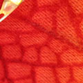 SP2943.jpg