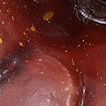 SW0583.jpg