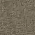 WH0536-003.jpg