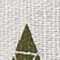 WZ0159-0015.jpg