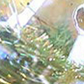HF0390.jpg