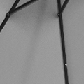 LG0927-003.jpg