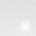 DM0450-013.jpg