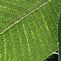 PM1572-1013.jpg