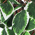 PM1574-1010.jpg