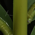 PM1582-1512.jpg
