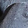 AI1499-1018.jpg